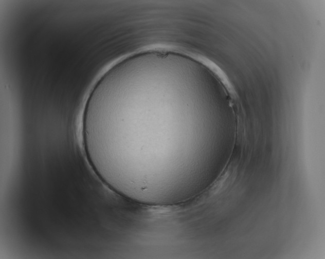 X0000102011199200808011136