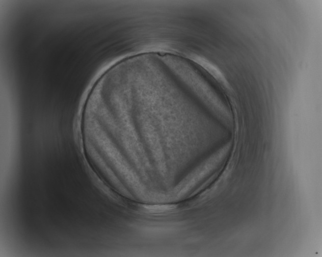 X0000102011200200808011136