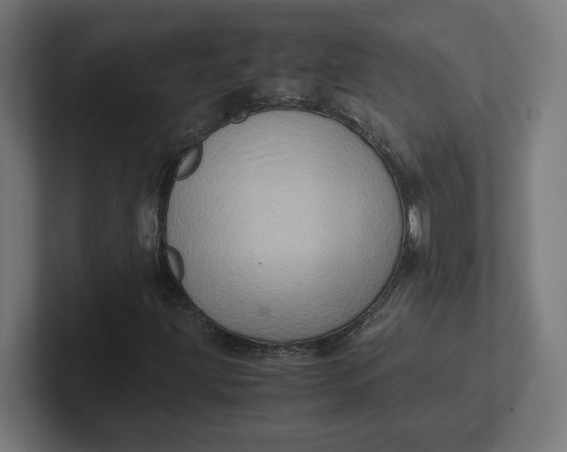 X0000102011203200808011135