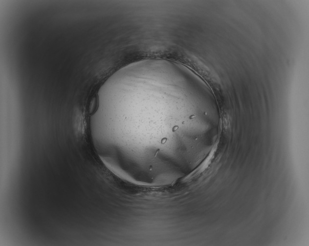 X0000102011204200808011135