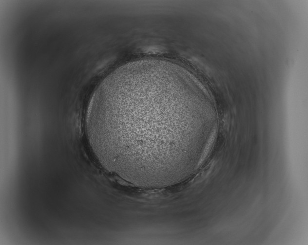 X0000102011205200808011135