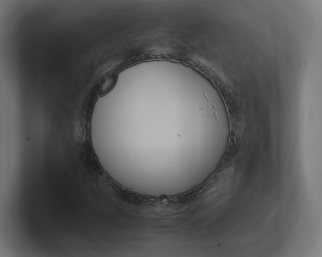 X0000102011207200808011135