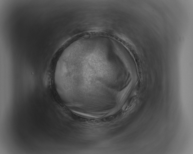 X0000102011208200808011135