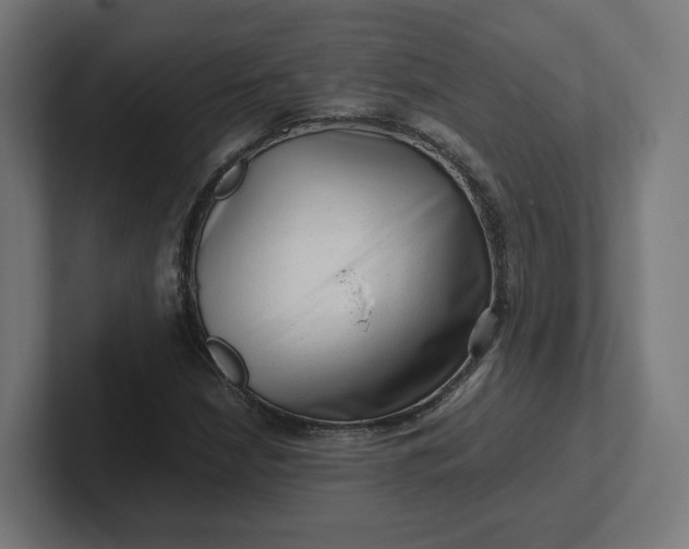 X0000102011210200808011135