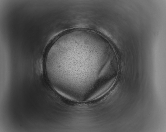 X0000102011214200808011135