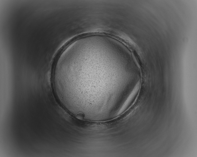 X0000102011216200808011135