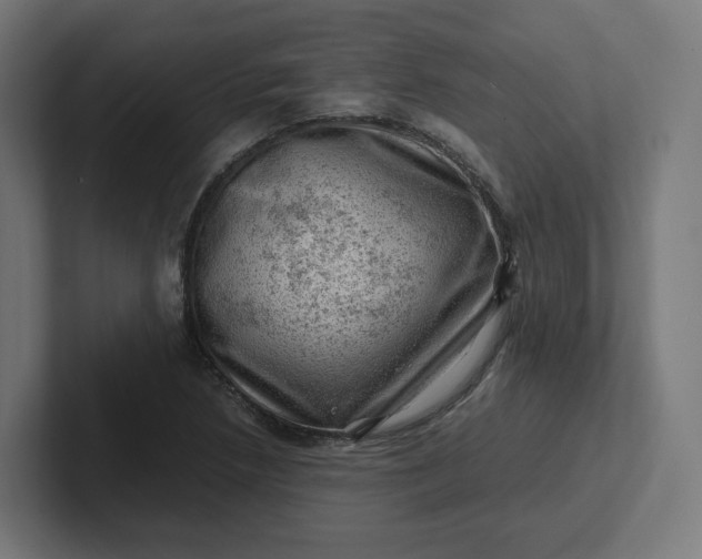 X0000102011218200808011135