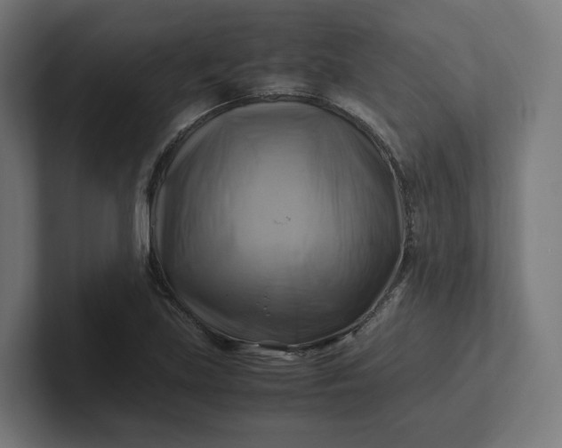 X0000102011219200808011135