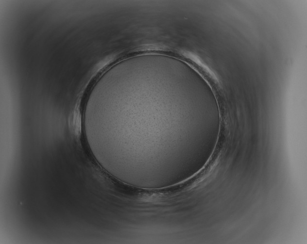 X0000102011221200808011135