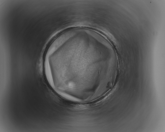 X0000102011224200808011135