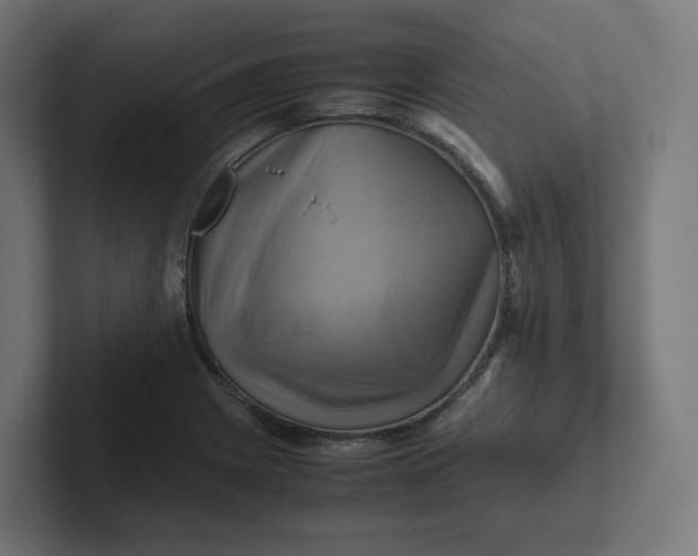 X0000102011225200808011135