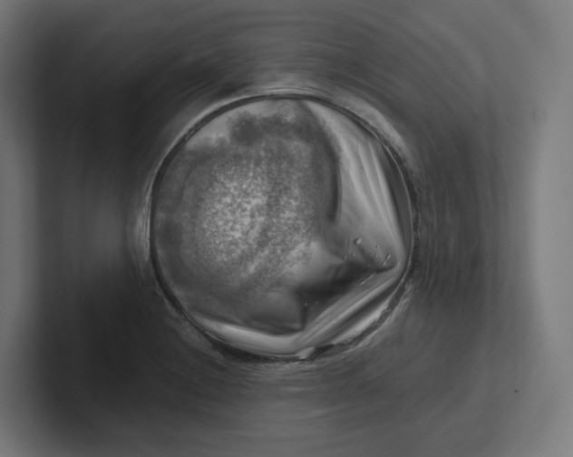 X0000102011228200808011136