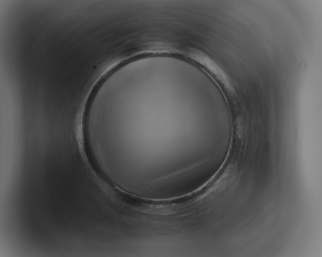 X0000102011229200808011136