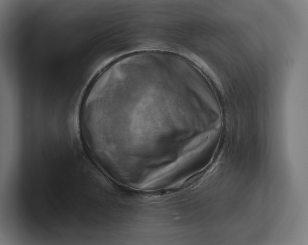 X0000102011230200808011136