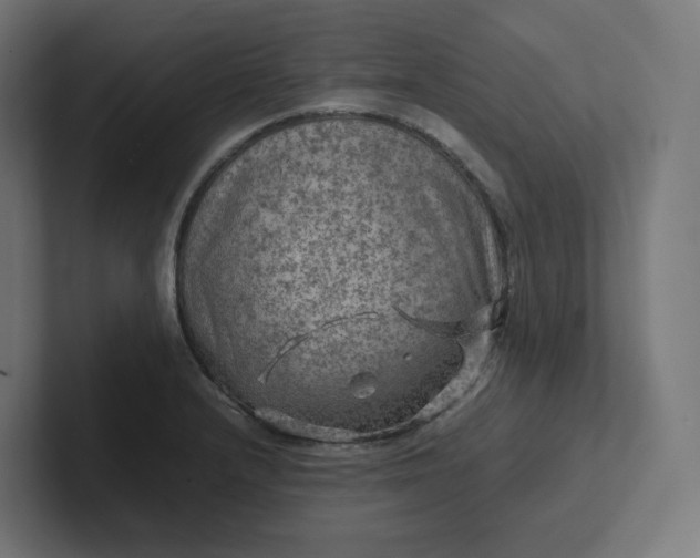 X0000102011232200808011136