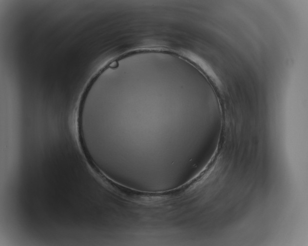 X0000102011237200808011136