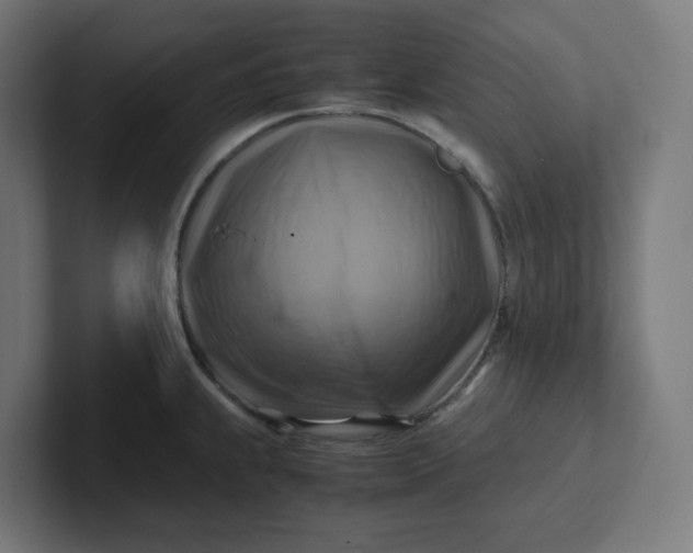 X0000102011239200808011136