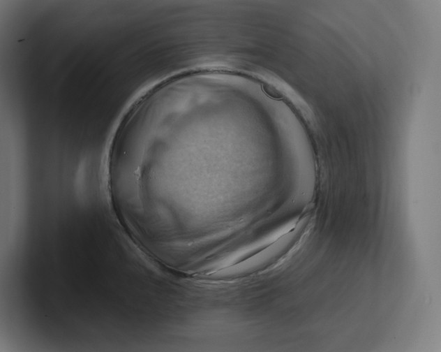 X0000102011240200808011136