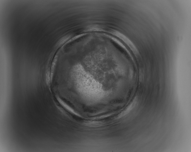 X0000102011241200808011136