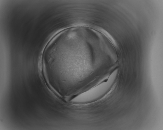 X0000102011244200808011136