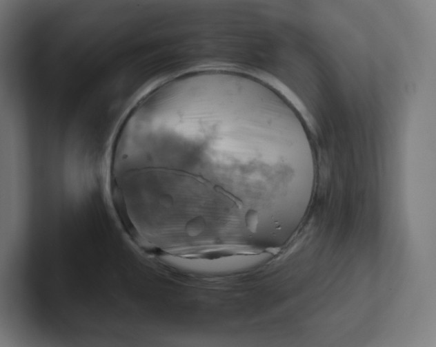 X0000102011245200808011136