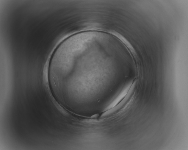 X0000102011246200808011136