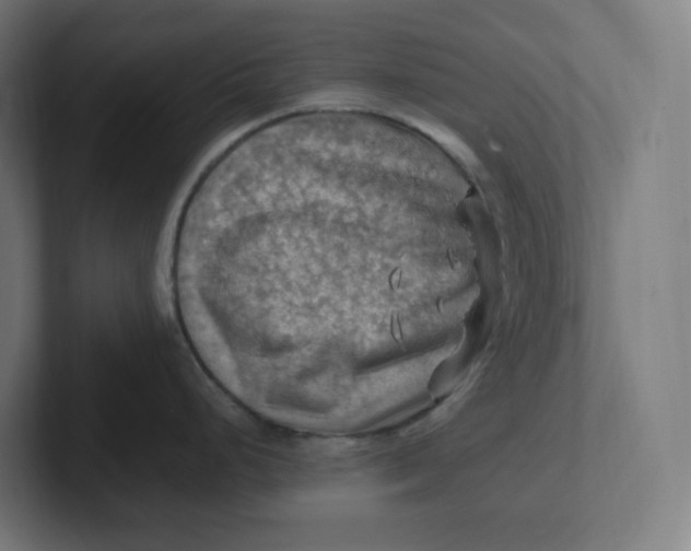 X0000102011248200808011136