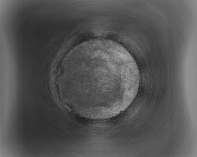 X0000102011249200808011135