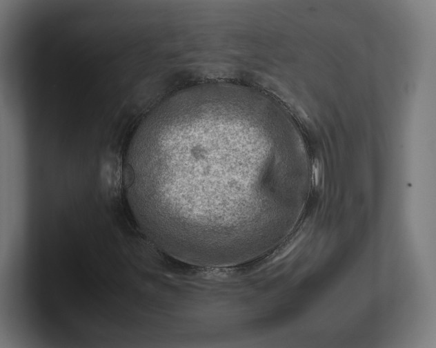 X0000102011251200808011135