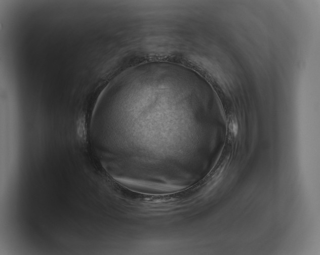 X0000102011252200808011135