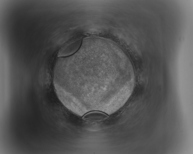 X0000102011253200808011135