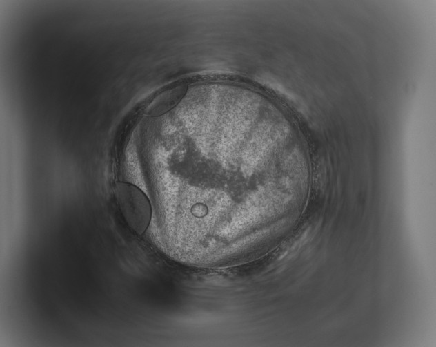 X0000102011255200808011135