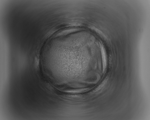 X0000102011257200808011135