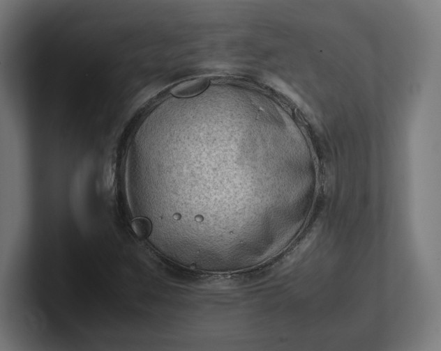 X0000102011259200808011135