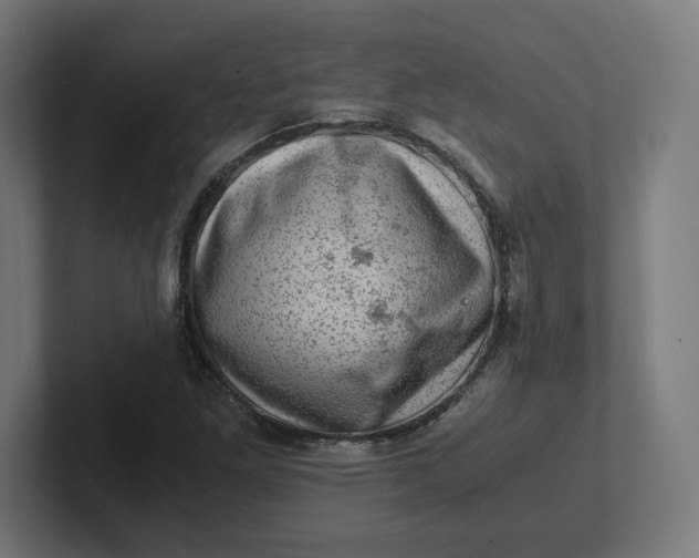 X0000102011261200808011135