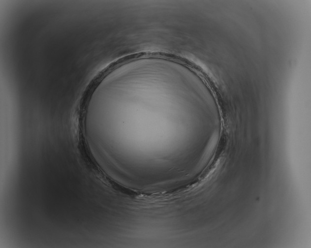 X0000102011263200808011135