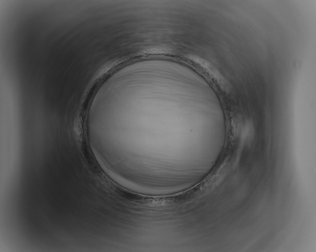 X0000102011266200808011135