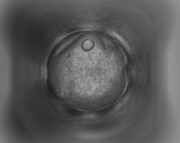 X0000102011267200808011135