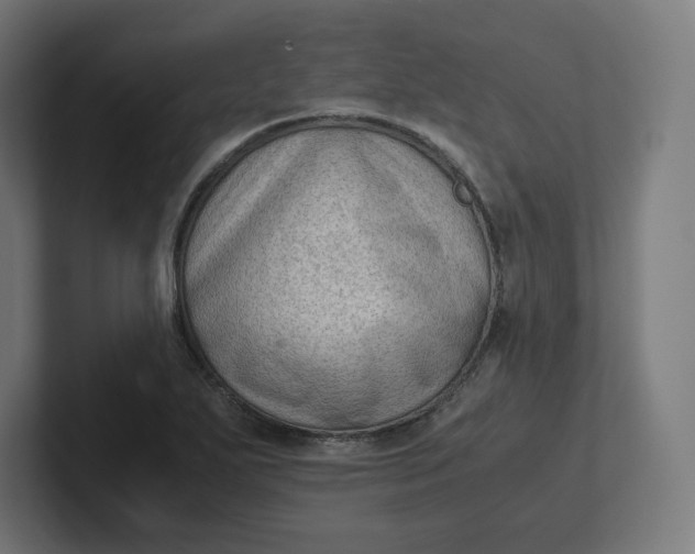 X0000102011271200808011135