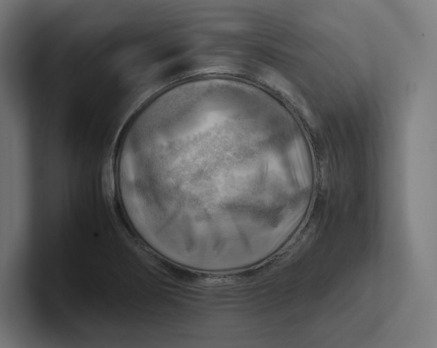 X0000102011274200808011135