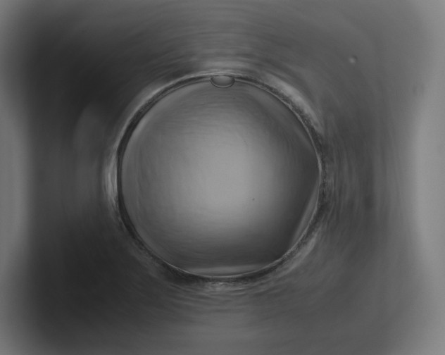 X0000102011275200808011135