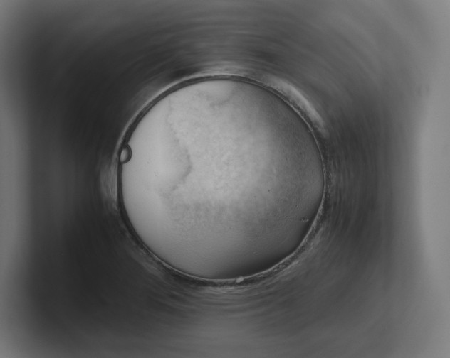 X0000102011276200808011135