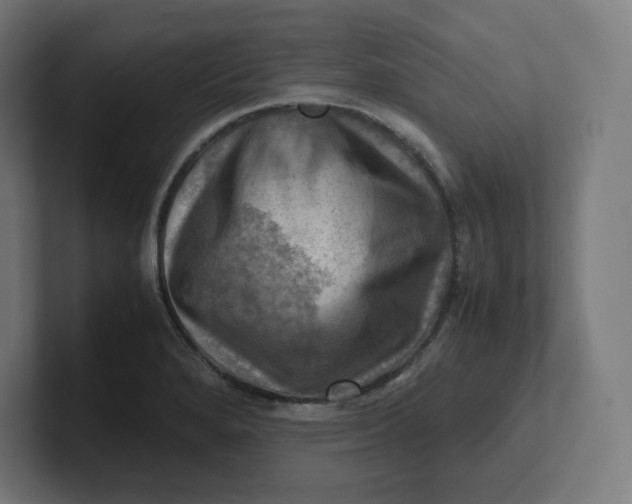 X0000102011280200808011135