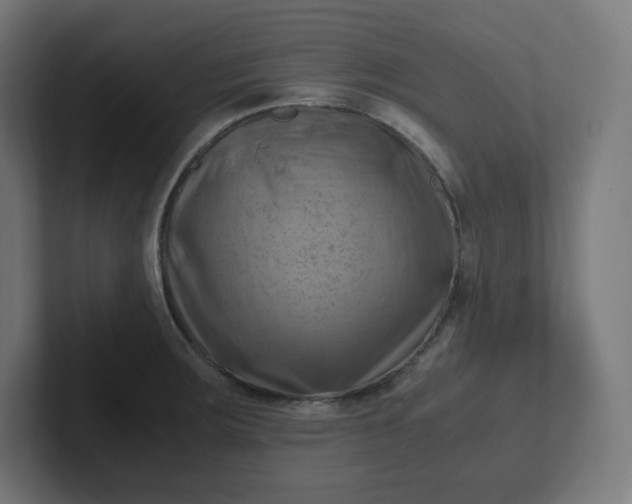 X0000102011283200808011135