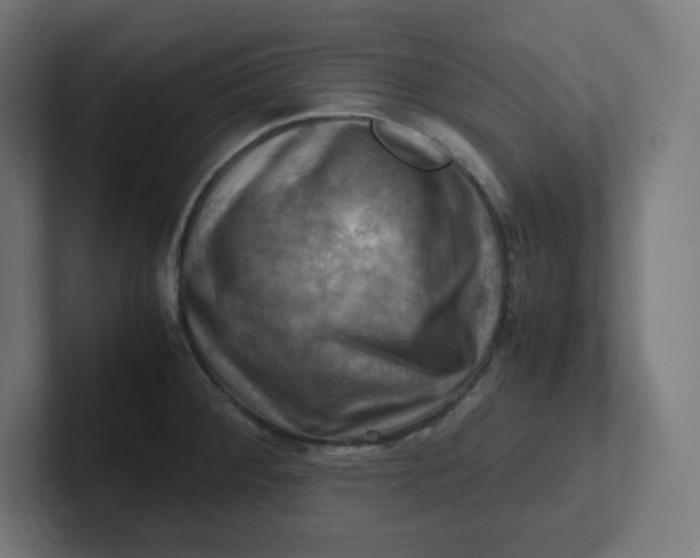 X0000102011284200808011135