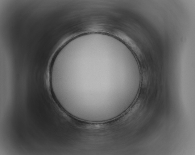 X0000102011286200808011135