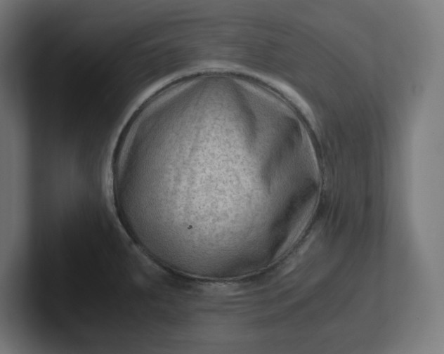 X0000102011287200808011135