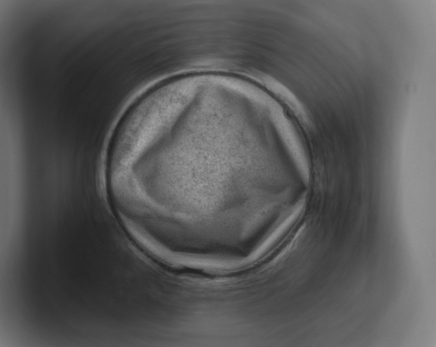 X0000102011288200808011135