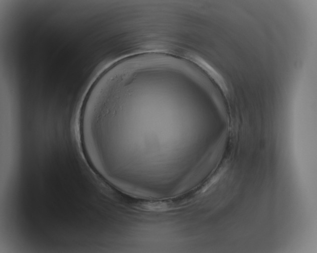 X0000102011291200808011135