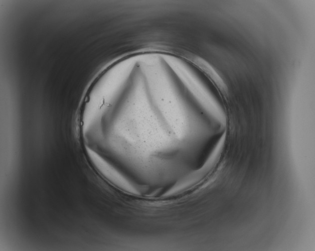 X0000102011292200808011135